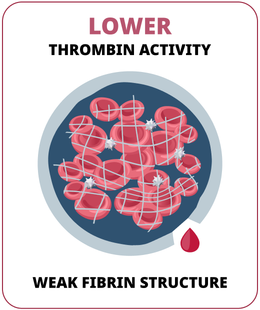 image of a weaker blood clot with lower fibrin activity causing weak fibrin structure