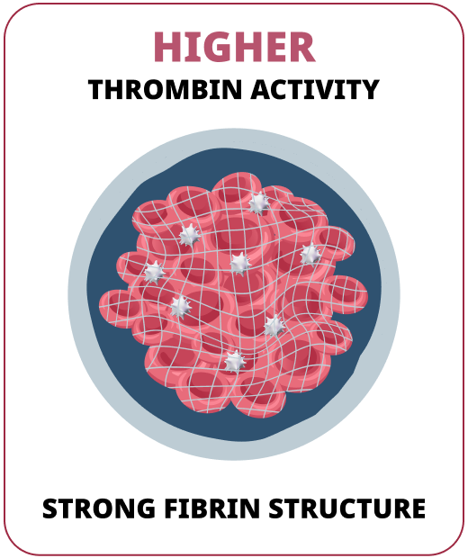 image of a strong, stable blood clot with higher fibrin activity causing strong fibrin structure